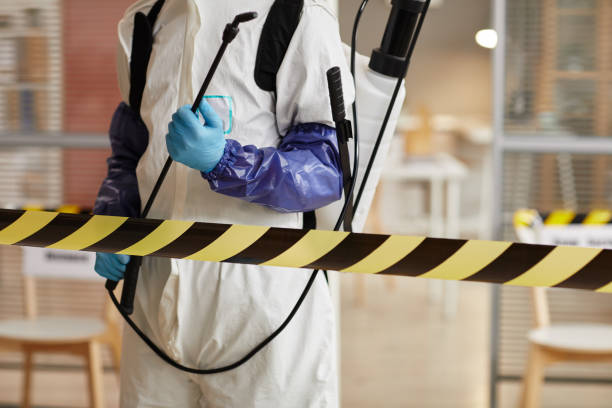 Professional Sewage Cleanup technician working in Rice, TX