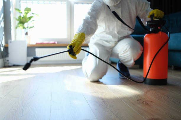 Reliable Sewage Cleanup contractor in Rice, TX by Trauma Clean Pros
